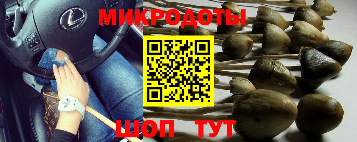 Галлюциногенные грибы ЛСД  Вход с VPN  Галлюциногенные грибы Psilocybine cubensis  Балашов 